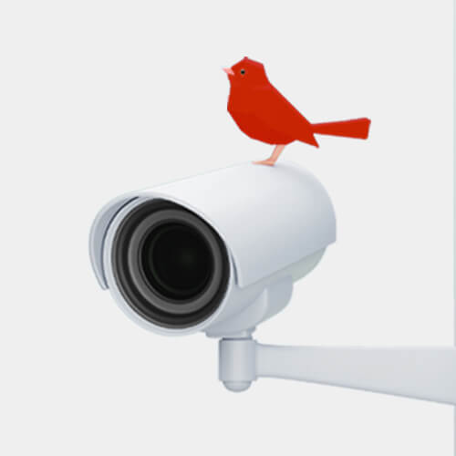Red canary sits atop an exterior home security camera