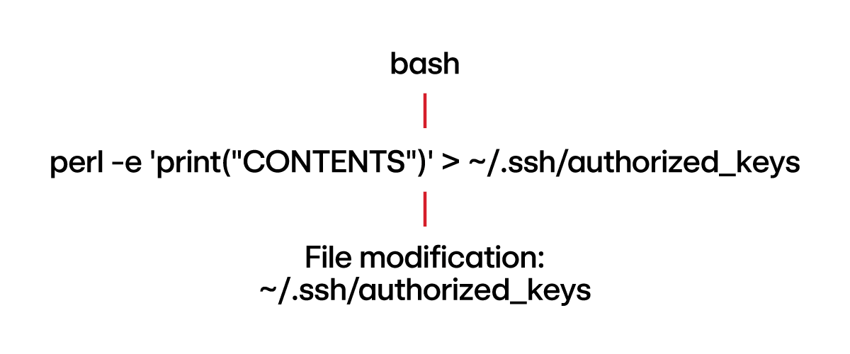 The expected EDR telemetry for command perl -e 'print("CONTENTS")' > ~/.ssh/authorized_keys