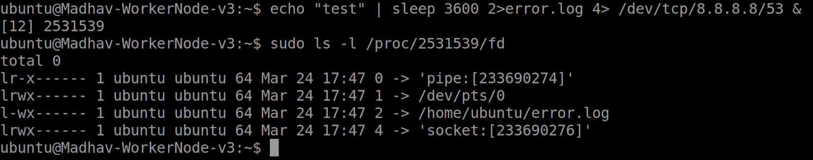 Screenshot of Linux terminal depicting command echo “test” | sleep 3600 2>error.log 4> /dev/tcp/8.8.8.8/53 &
