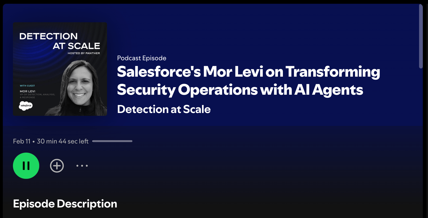 The Spotify listing of the Detection at Scale podcast